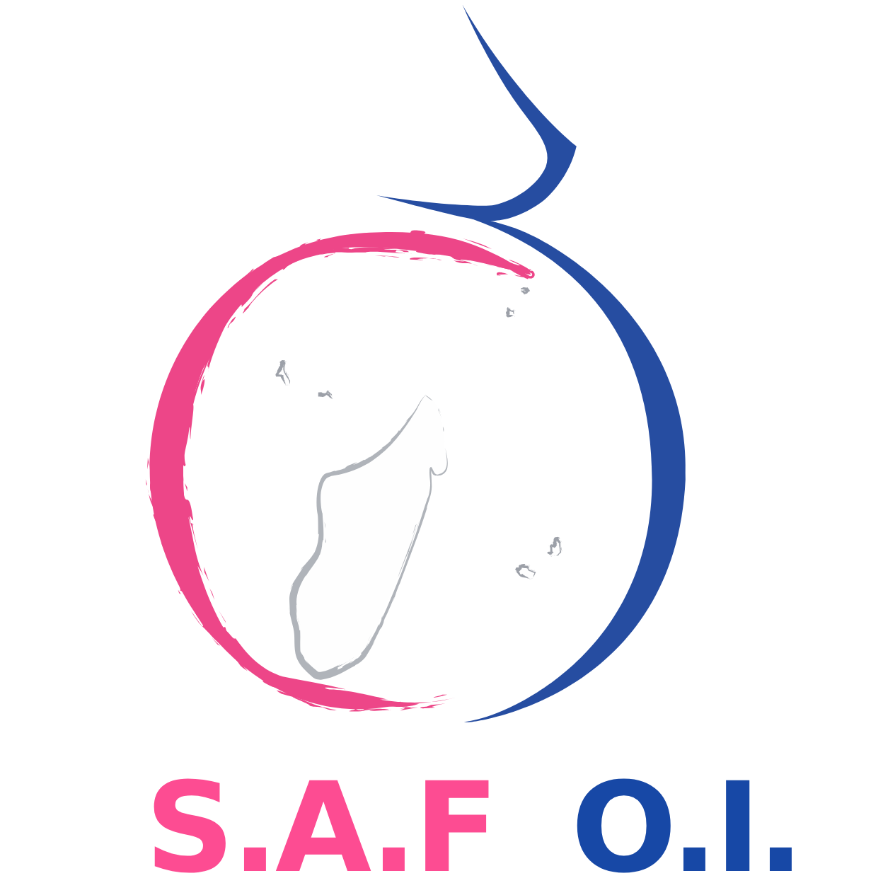 logo_saf1